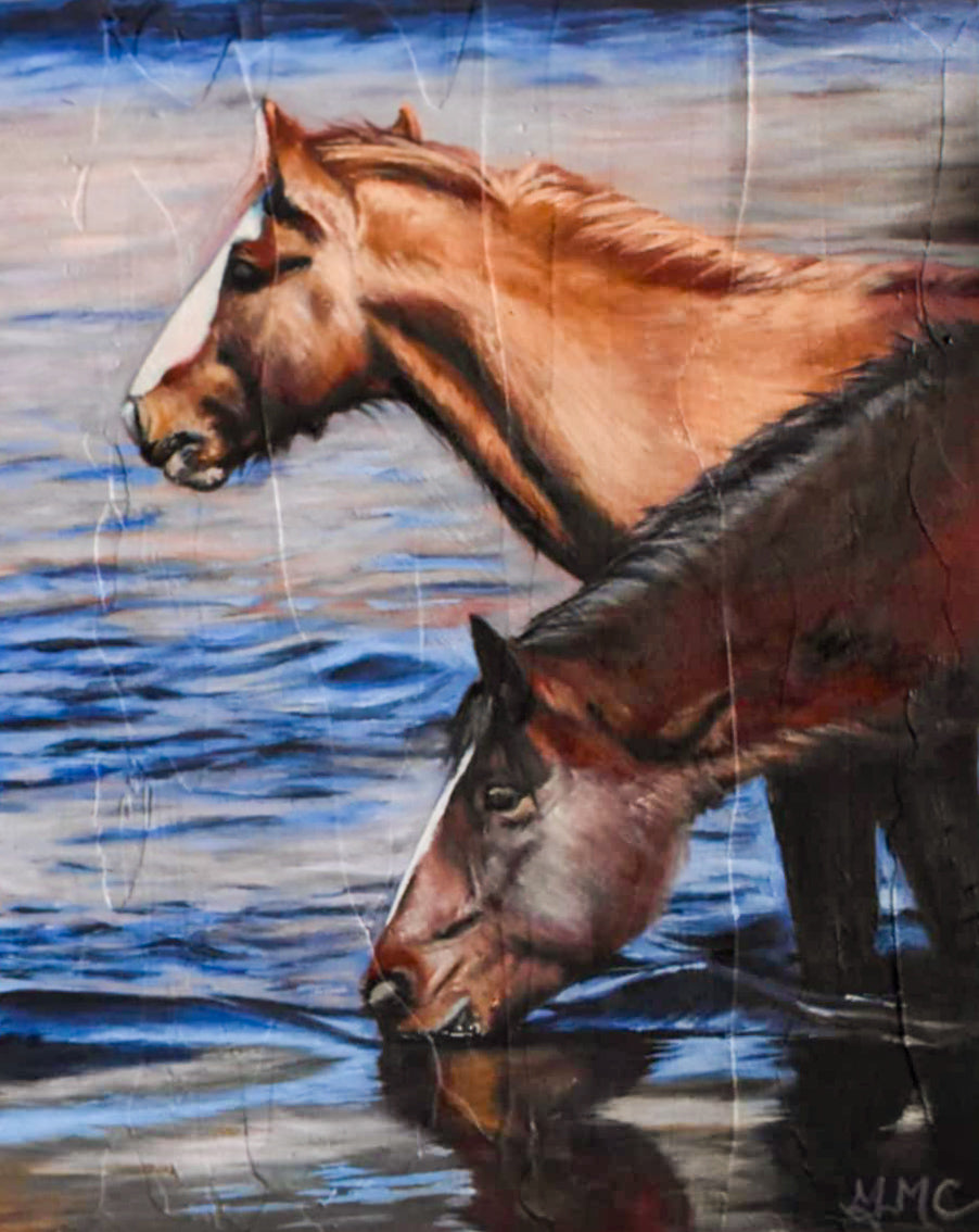 Arizona Wild Horses