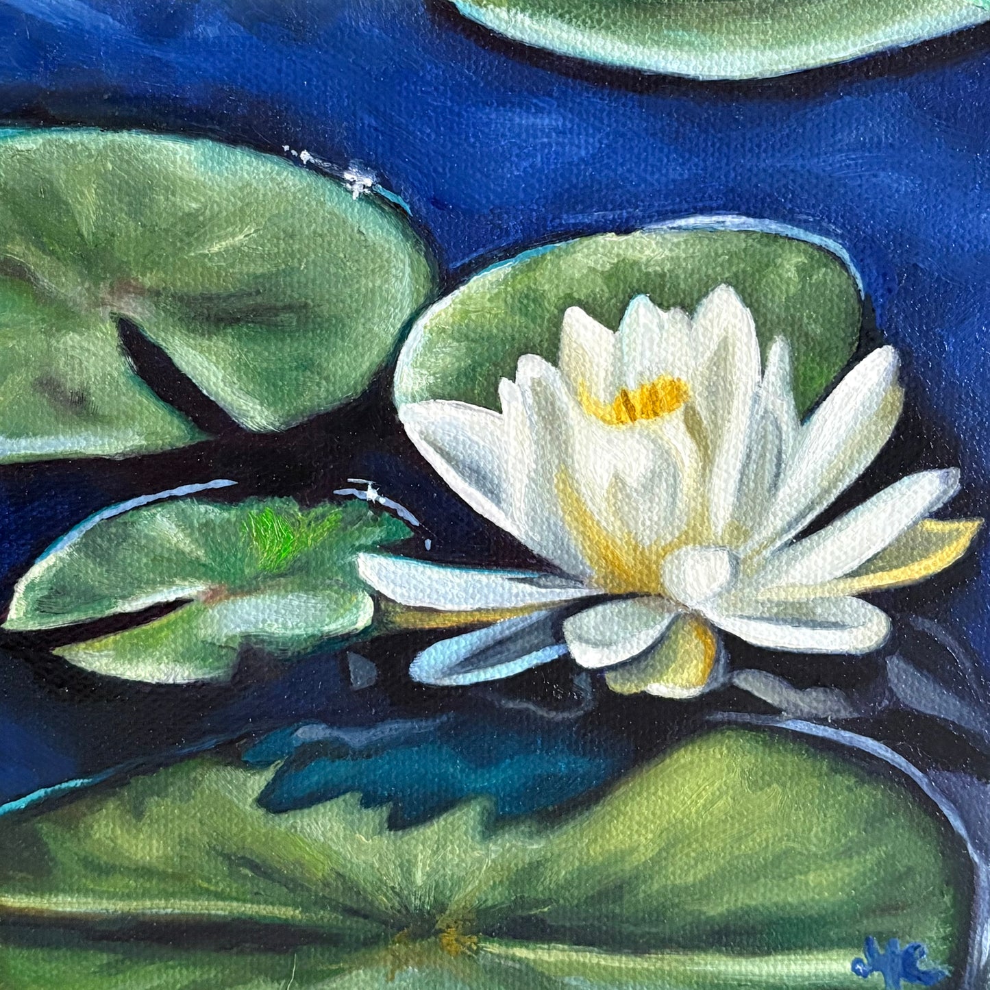 Sparkling Water Lily