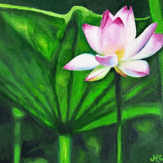Lotus